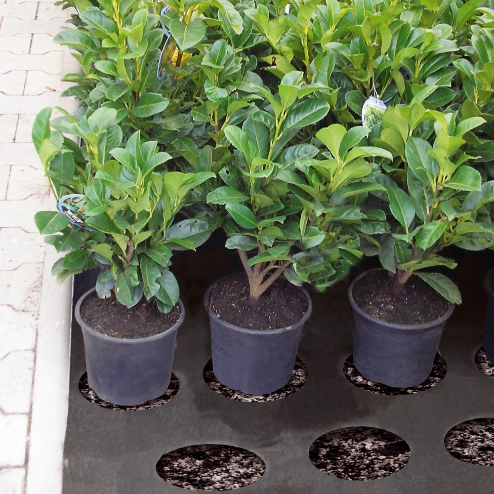 62601140__Climatex_50_gelocht_140.jpg Climatex 50 g, schwarz, gelocht - Unkrautschutzvlies